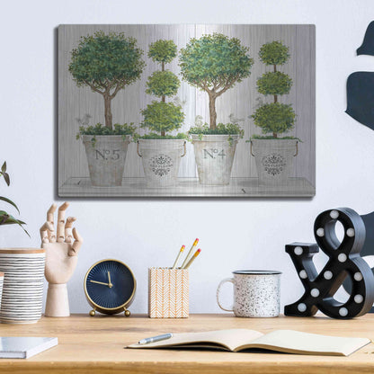 Luxe Metal Art 'Topiary Still Life' by Cindy Jacobs, Metal Wall Art,16x12