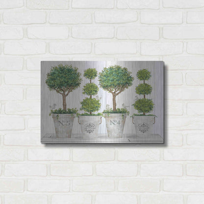 Luxe Metal Art 'Topiary Still Life' by Cindy Jacobs, Metal Wall Art,24x16