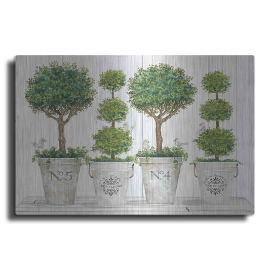 Luxe Metal Art 'Topiary Still Life' by Cindy Jacobs, Metal Wall Art