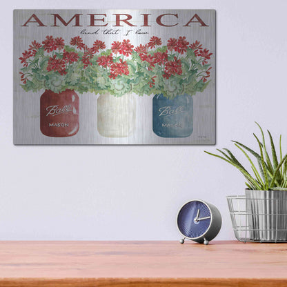 Luxe Metal Art 'America Glass Jars' by Cindy Jacobs, Metal Wall Art,16x12