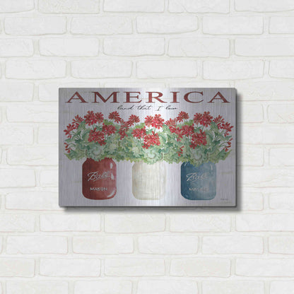 Luxe Metal Art 'America Glass Jars' by Cindy Jacobs, Metal Wall Art,24x16