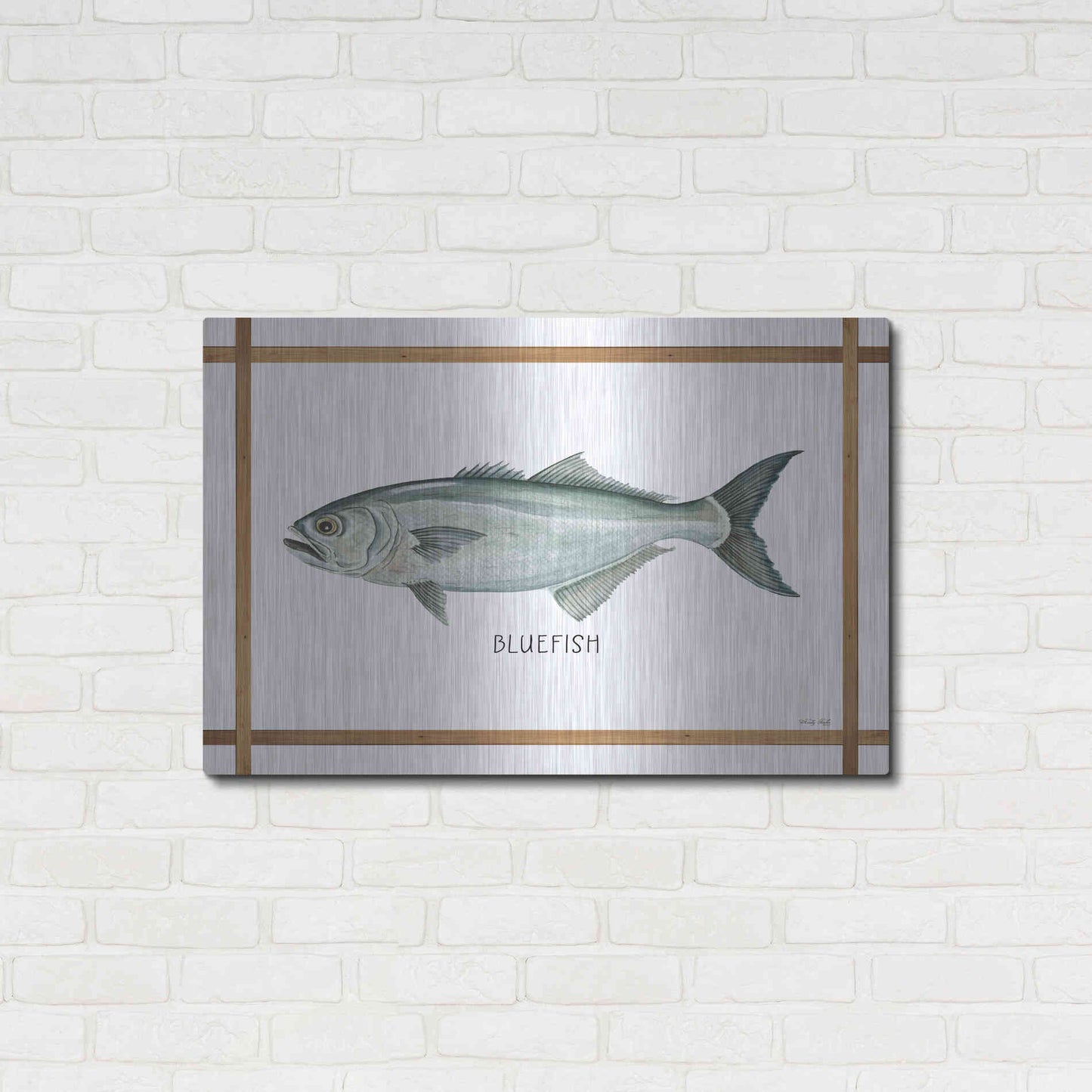 Luxe Metal Art 'Bluefish on White' by Cindy Jacobs, Metal Wall Art,36x24