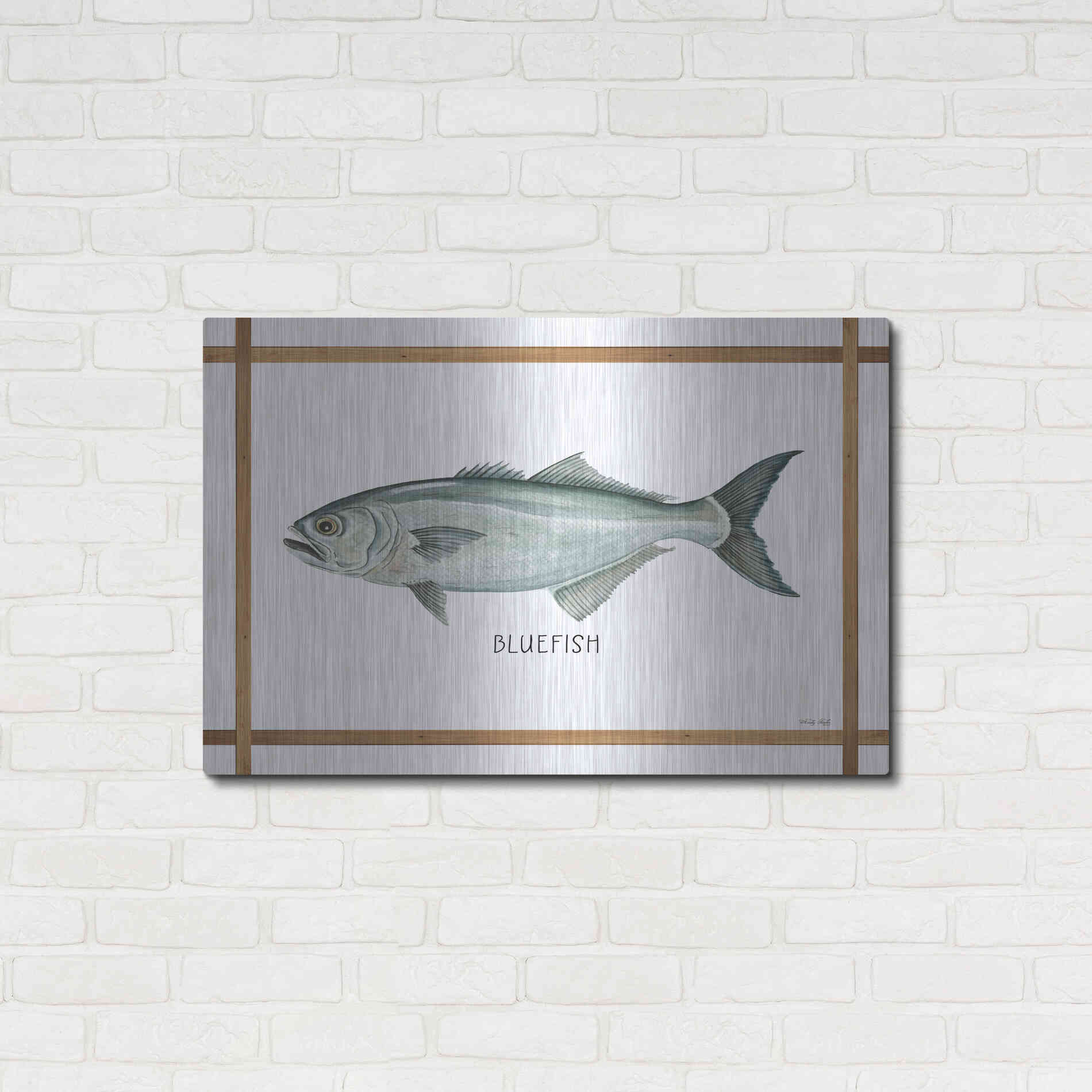 Luxe Metal Art 'Bluefish on White' by Cindy Jacobs, Metal Wall Art,36x24