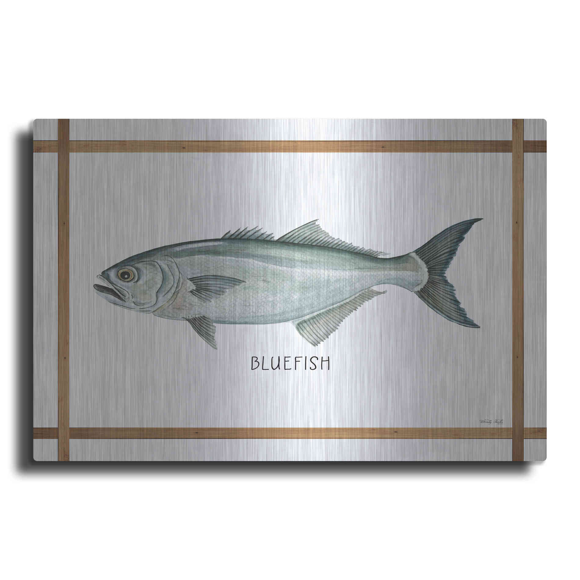 Luxe Metal Art 'Bluefish on White' by Cindy Jacobs, Metal Wall Art