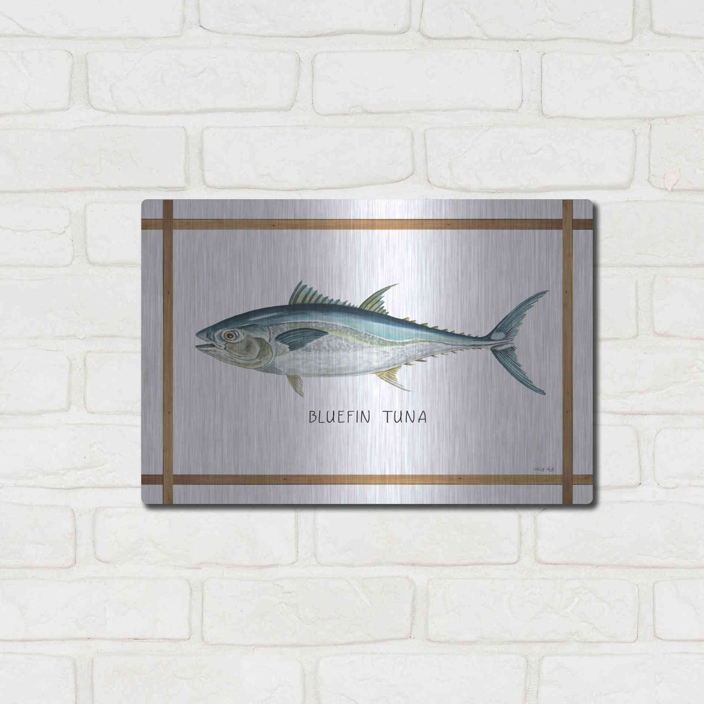 Luxe Metal Art 'Bluefin Tuna on White' by Cindy Jacobs, Metal Wall Art,16x12