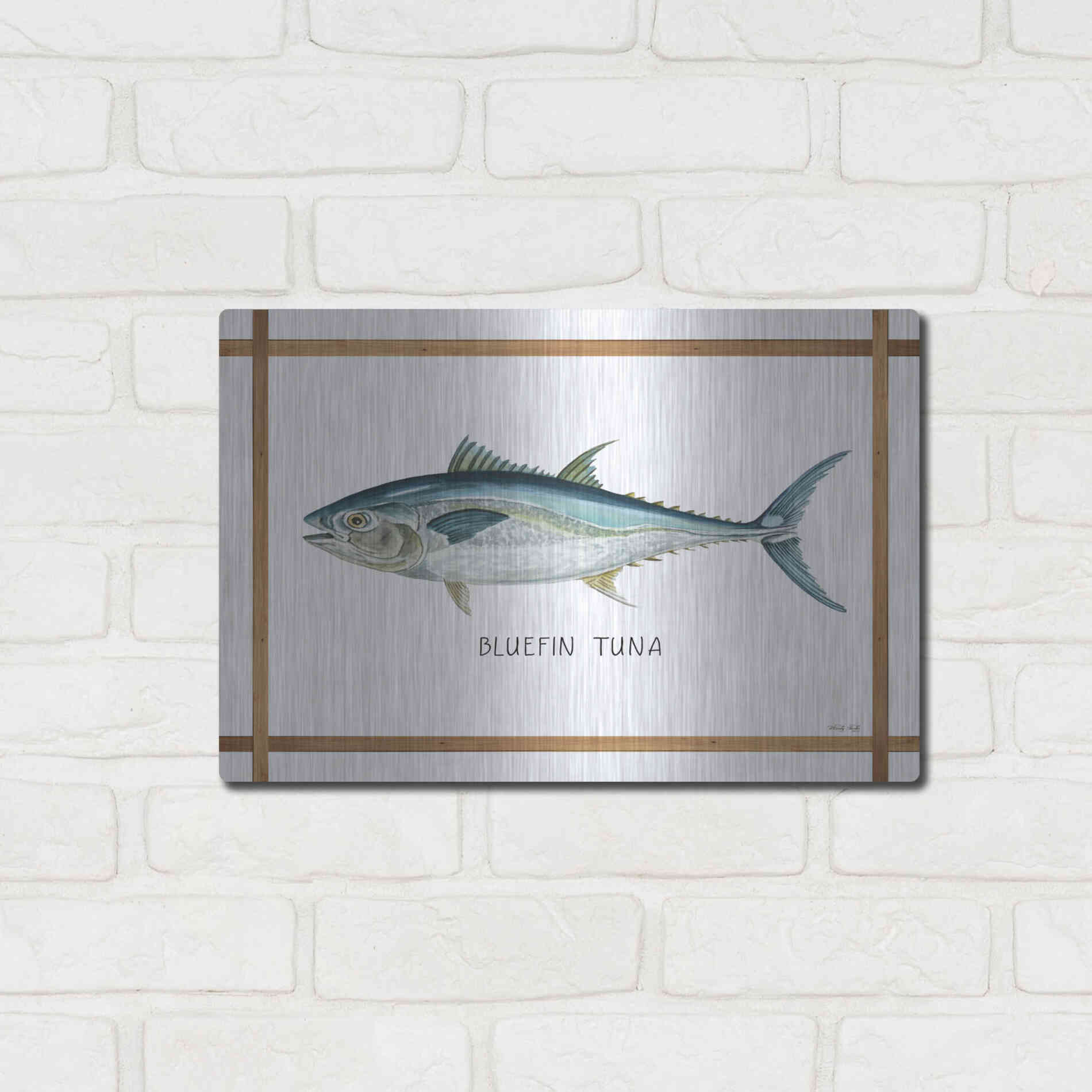 Luxe Metal Art 'Bluefin Tuna on White' by Cindy Jacobs, Metal Wall Art,16x12