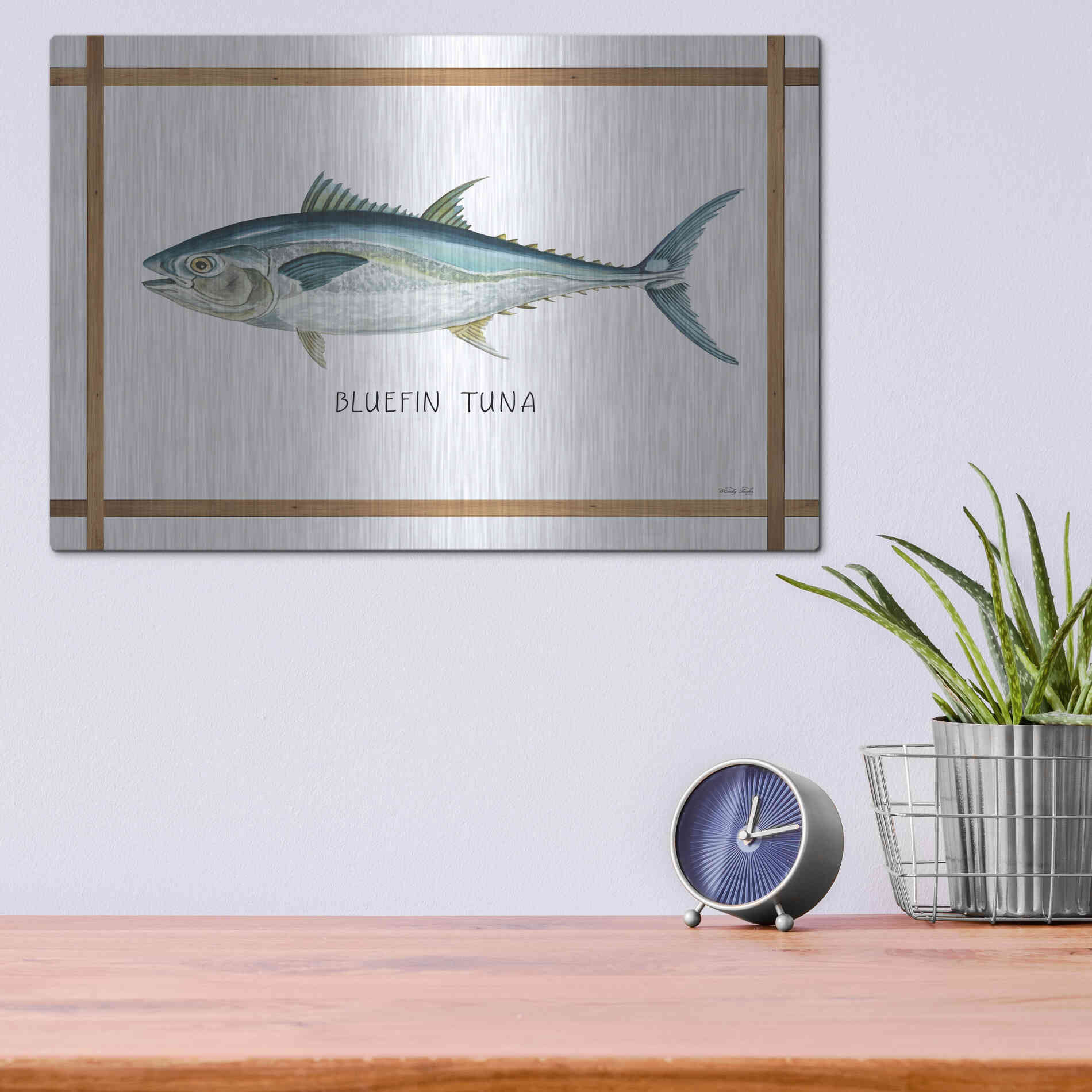 Luxe Metal Art 'Bluefin Tuna on White' by Cindy Jacobs, Metal Wall Art,16x12