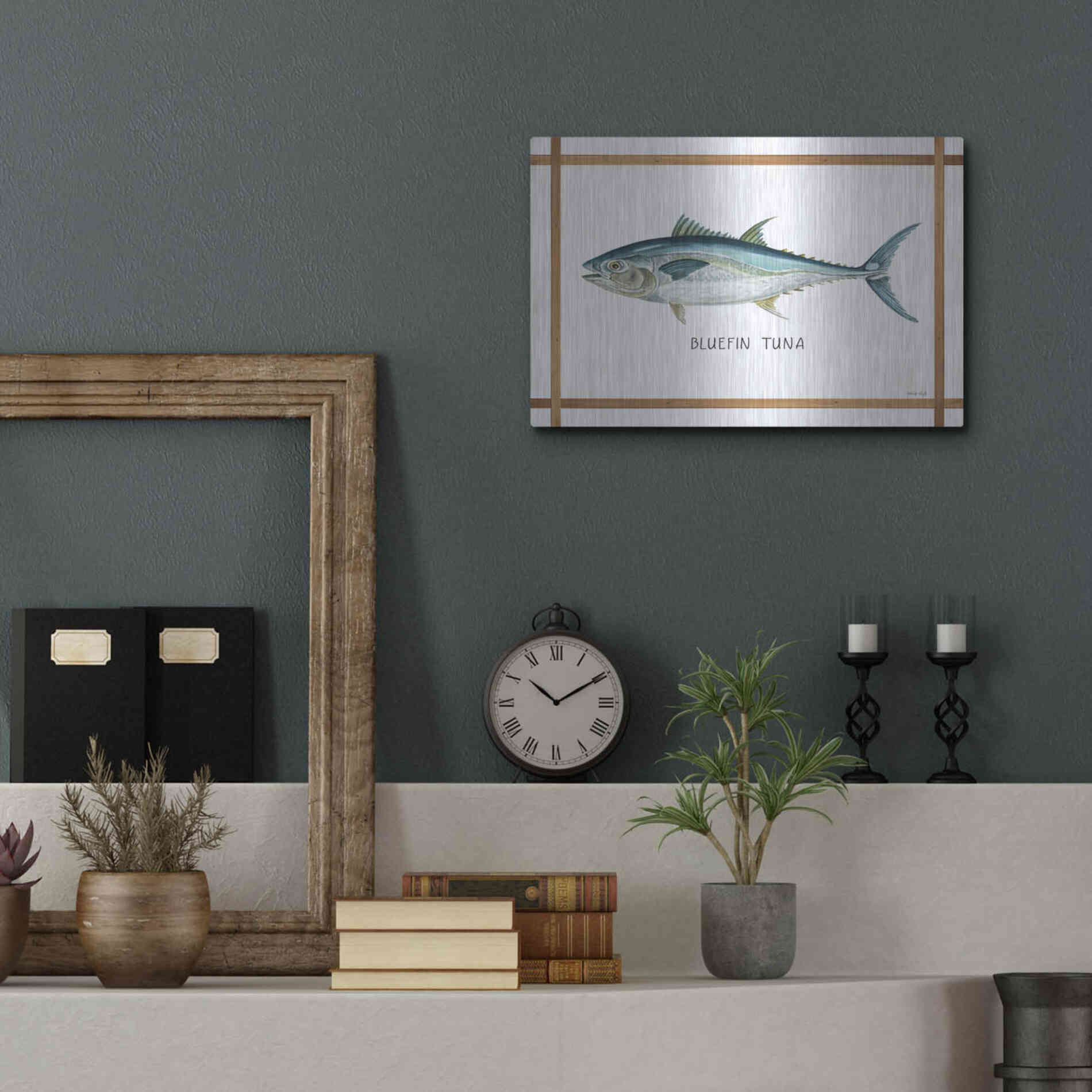 Luxe Metal Art 'Bluefin Tuna on White' by Cindy Jacobs, Metal Wall Art,16x12