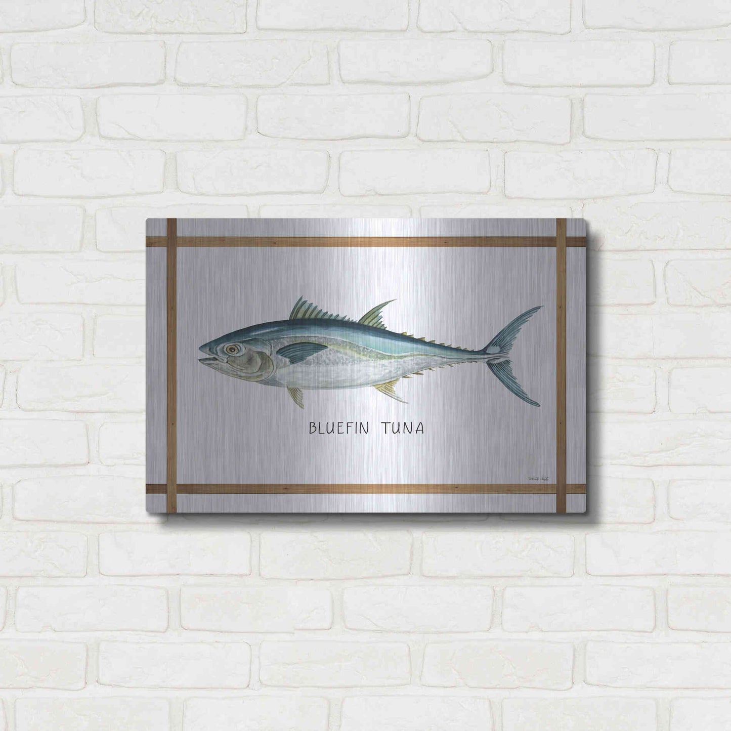 Luxe Metal Art 'Bluefin Tuna on White' by Cindy Jacobs, Metal Wall Art,24x16