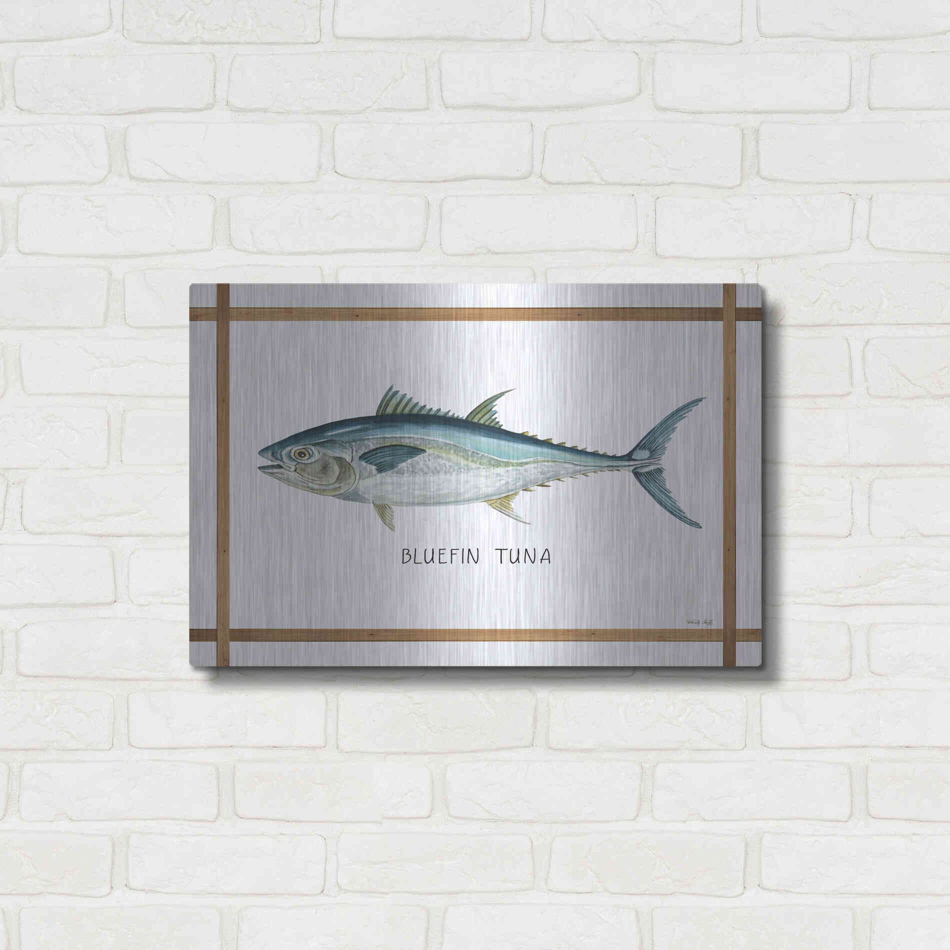 Luxe Metal Art 'Bluefin Tuna on White' by Cindy Jacobs, Metal Wall Art,24x16