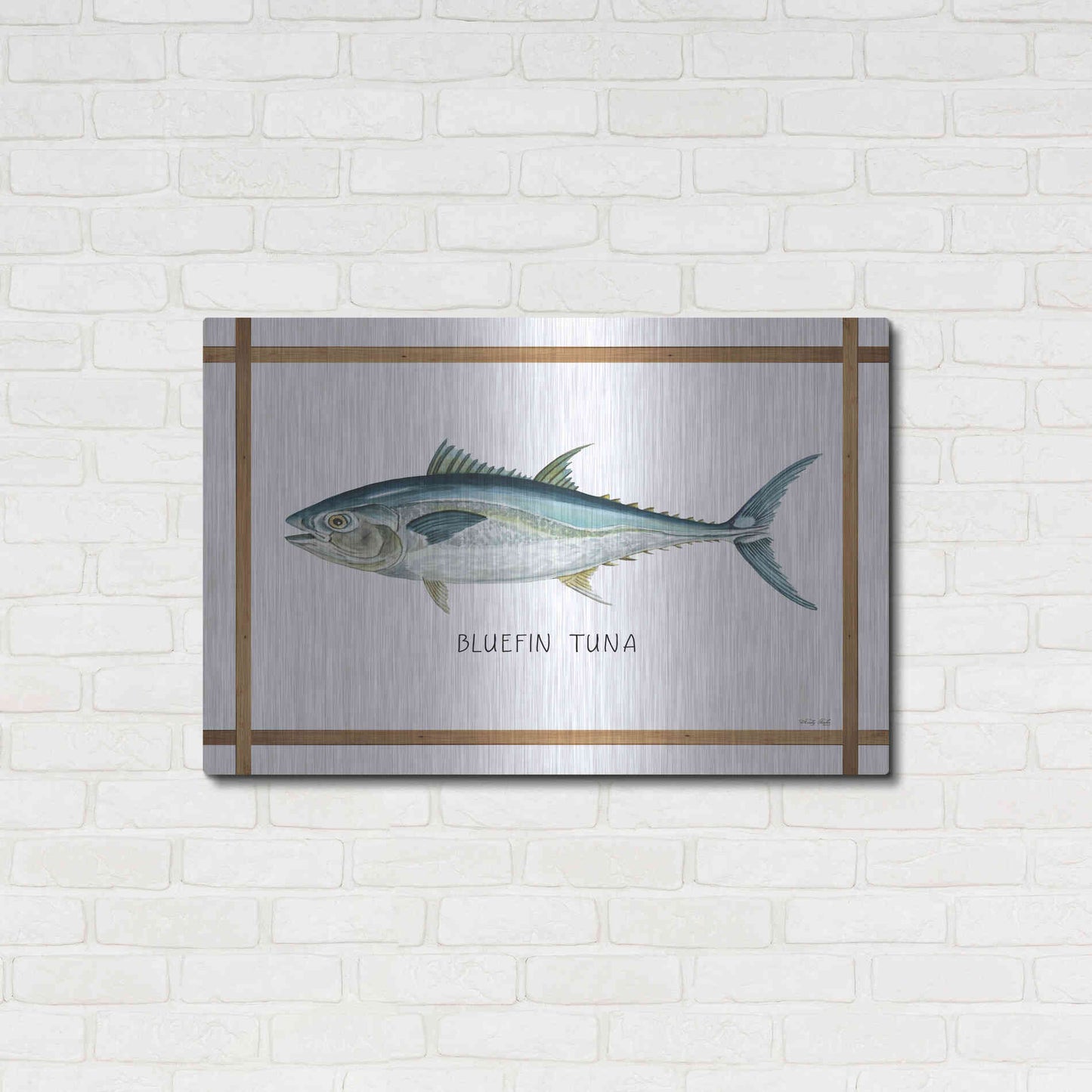 Luxe Metal Art 'Bluefin Tuna on White' by Cindy Jacobs, Metal Wall Art,36x24