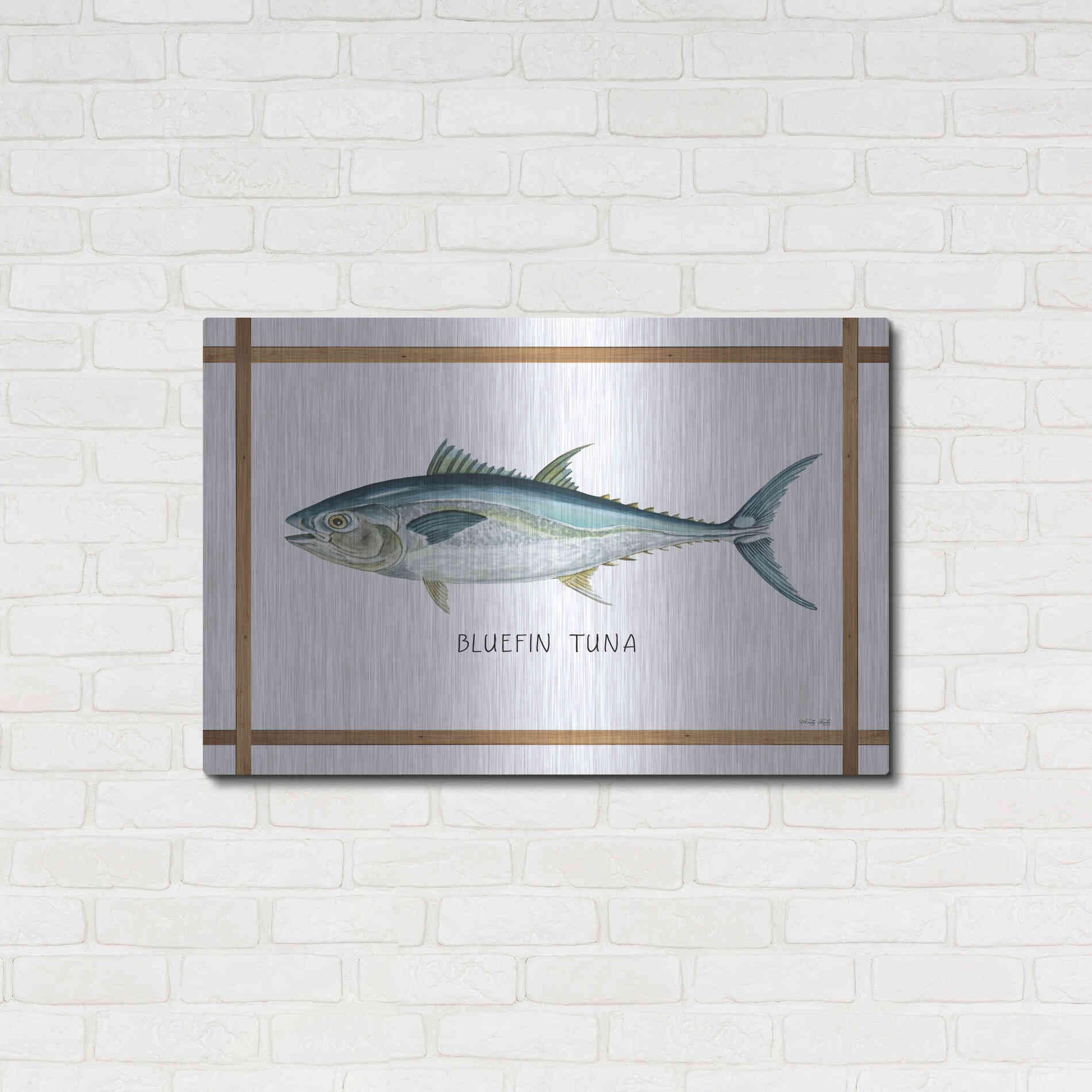 Luxe Metal Art 'Bluefin Tuna on White' by Cindy Jacobs, Metal Wall Art,36x24