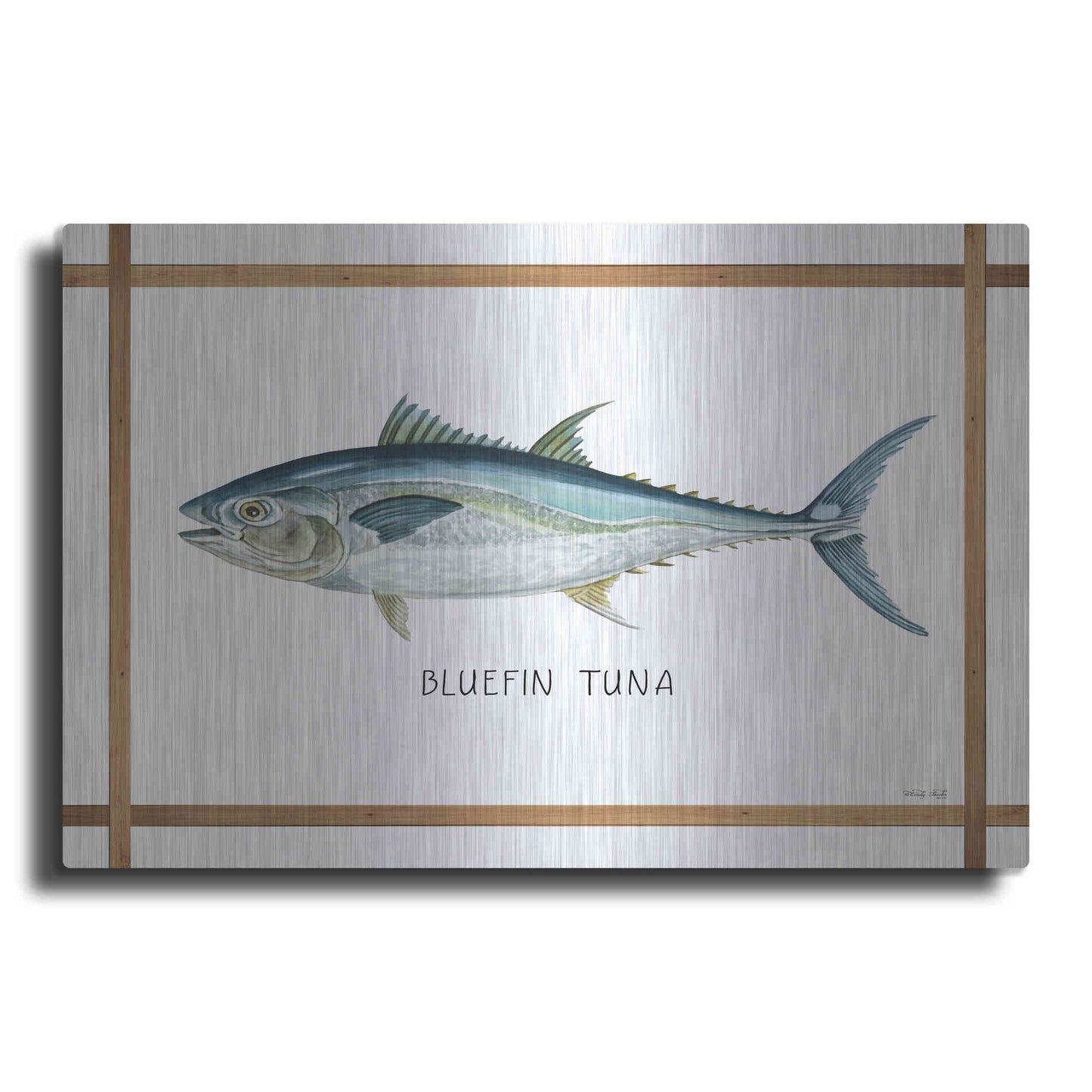 Luxe Metal Art 'Bluefin Tuna on White' by Cindy Jacobs, Metal Wall Art