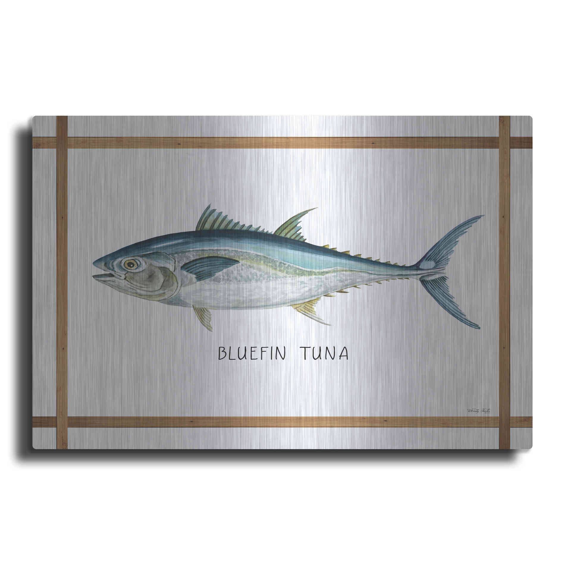 Luxe Metal Art 'Bluefin Tuna on White' by Cindy Jacobs, Metal Wall Art