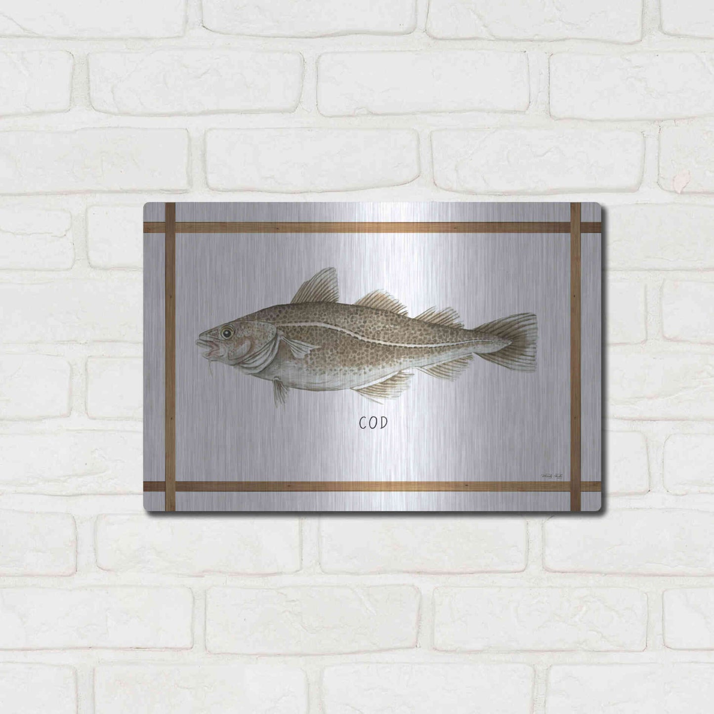 Luxe Metal Art 'Cod on White' by Cindy Jacobs, Metal Wall Art,16x12