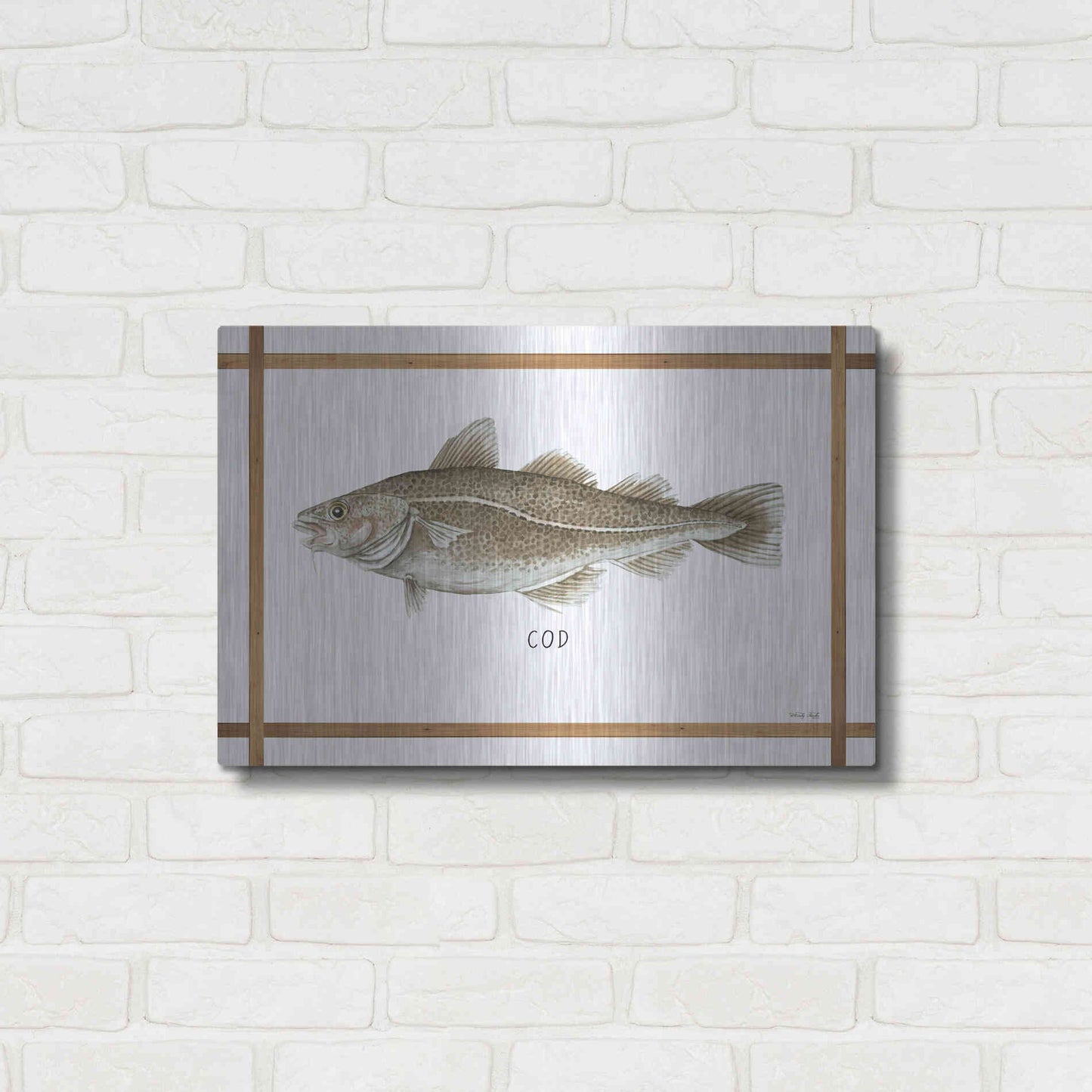 Luxe Metal Art 'Cod on White' by Cindy Jacobs, Metal Wall Art,24x16