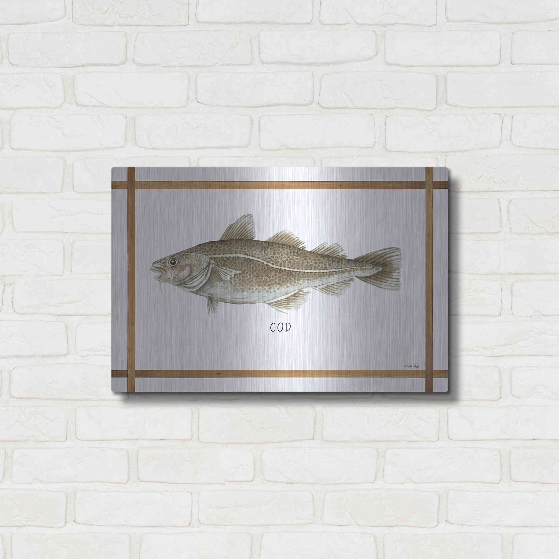 Luxe Metal Art 'Cod on White' by Cindy Jacobs, Metal Wall Art,24x16