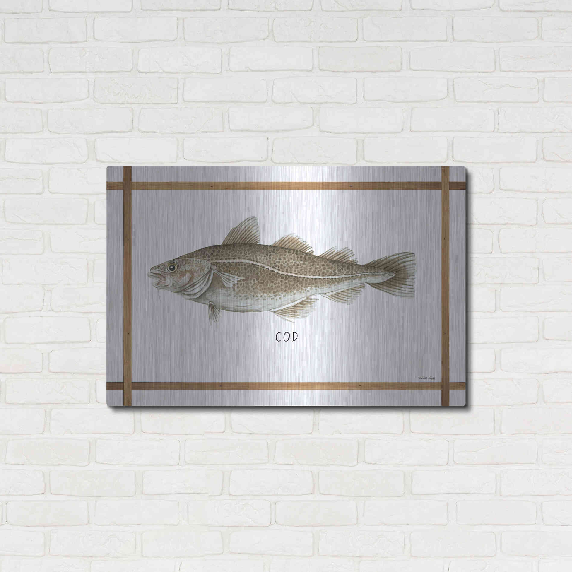 Luxe Metal Art 'Cod on White' by Cindy Jacobs, Metal Wall Art,36x24