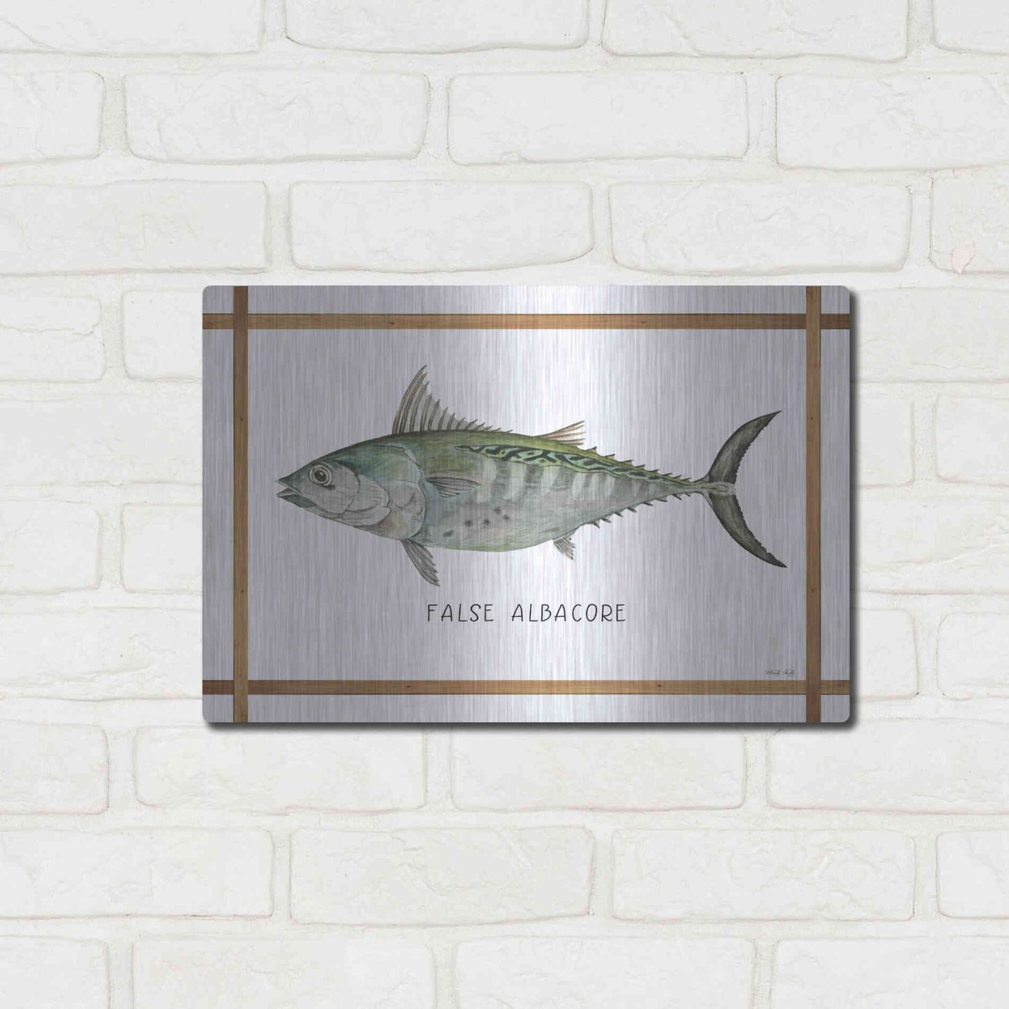 Luxe Metal Art 'False Albacore on White' by Cindy Jacobs, Metal Wall Art,16x12