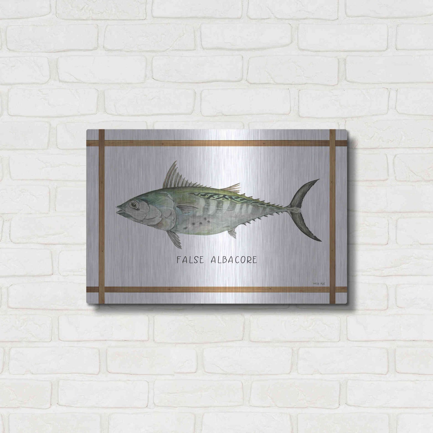 Luxe Metal Art 'False Albacore on White' by Cindy Jacobs, Metal Wall Art,24x16