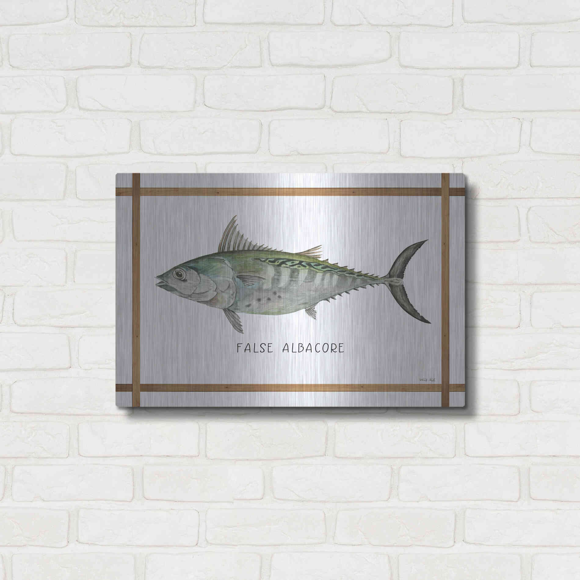 Luxe Metal Art 'False Albacore on White' by Cindy Jacobs, Metal Wall Art,24x16