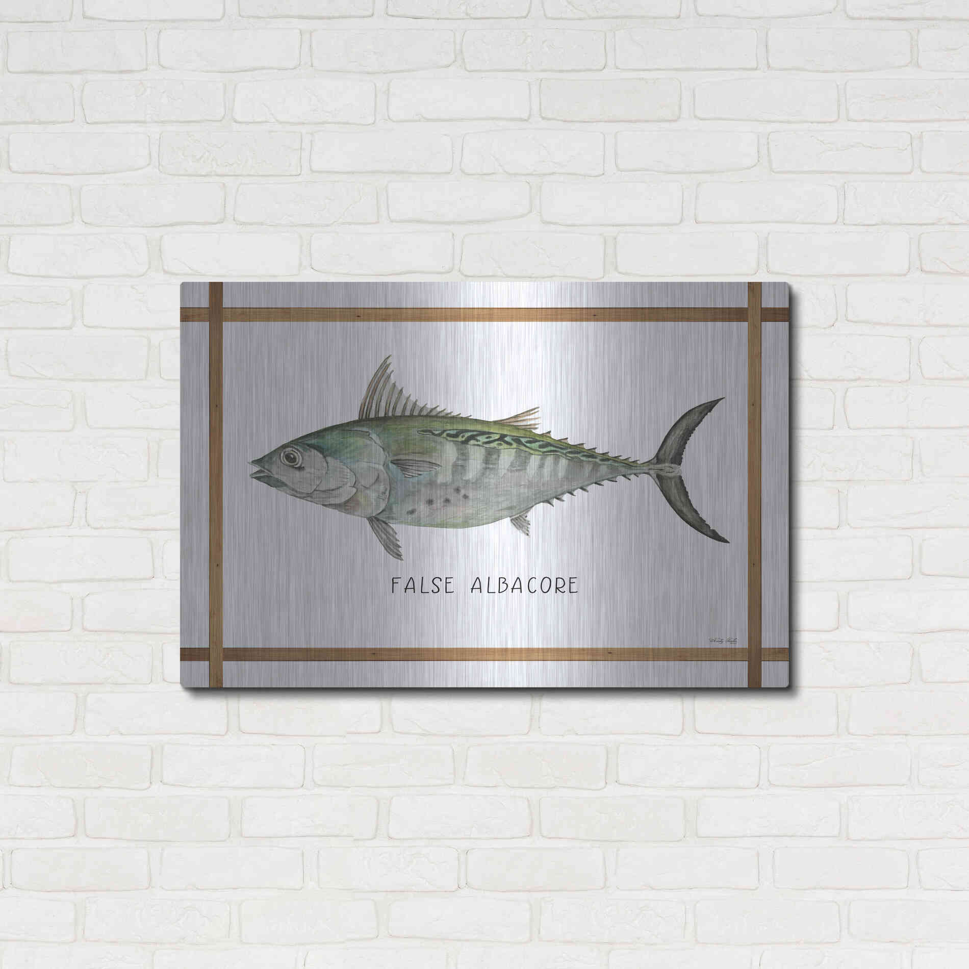 Luxe Metal Art 'False Albacore on White' by Cindy Jacobs, Metal Wall Art,36x24