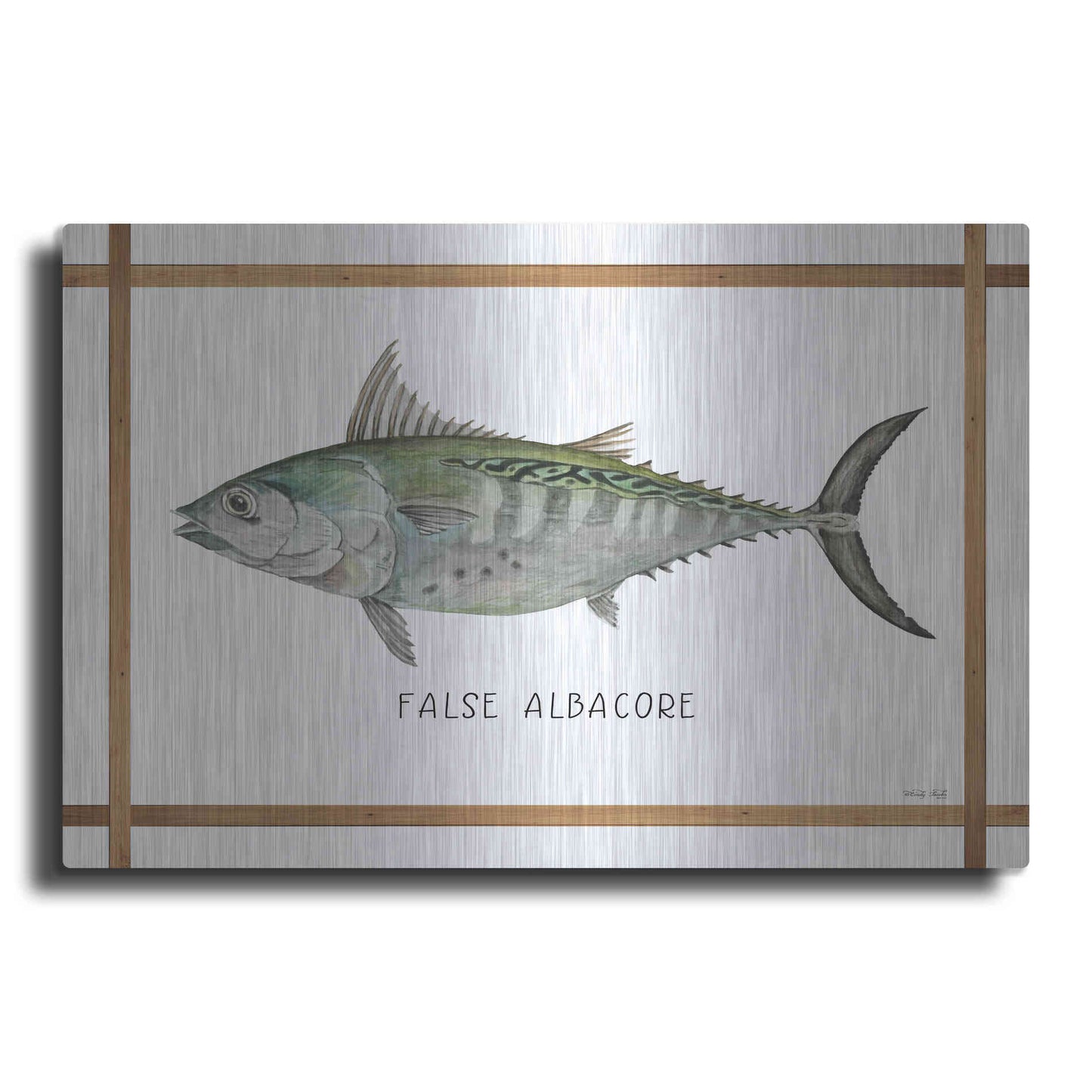Luxe Metal Art 'False Albacore on White' by Cindy Jacobs, Metal Wall Art
