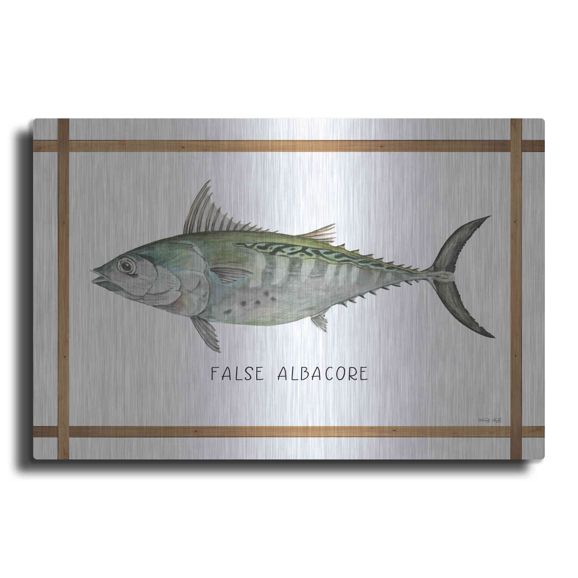 Luxe Metal Art 'False Albacore on White' by Cindy Jacobs, Metal Wall Art