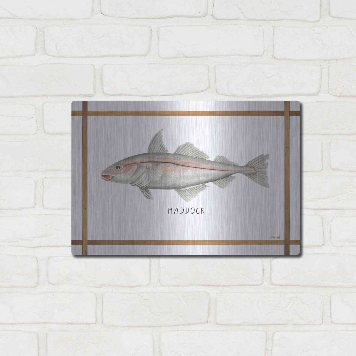 Luxe Metal Art 'Haddock on White' by Cindy Jacobs, Metal Wall Art,16x12