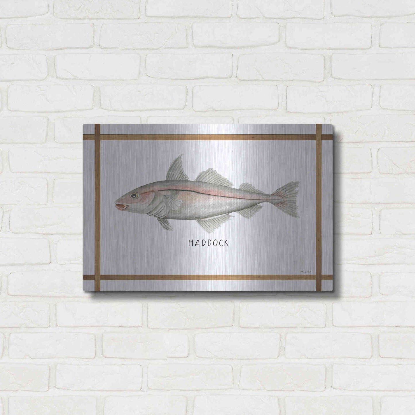 Luxe Metal Art 'Haddock on White' by Cindy Jacobs, Metal Wall Art,24x16