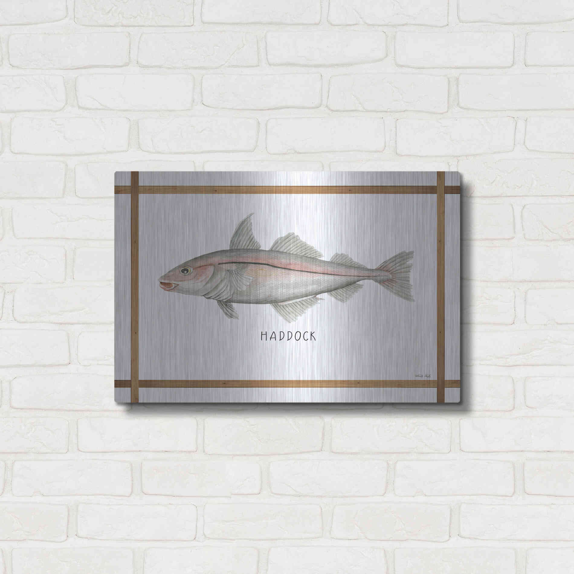 Luxe Metal Art 'Haddock on White' by Cindy Jacobs, Metal Wall Art,24x16
