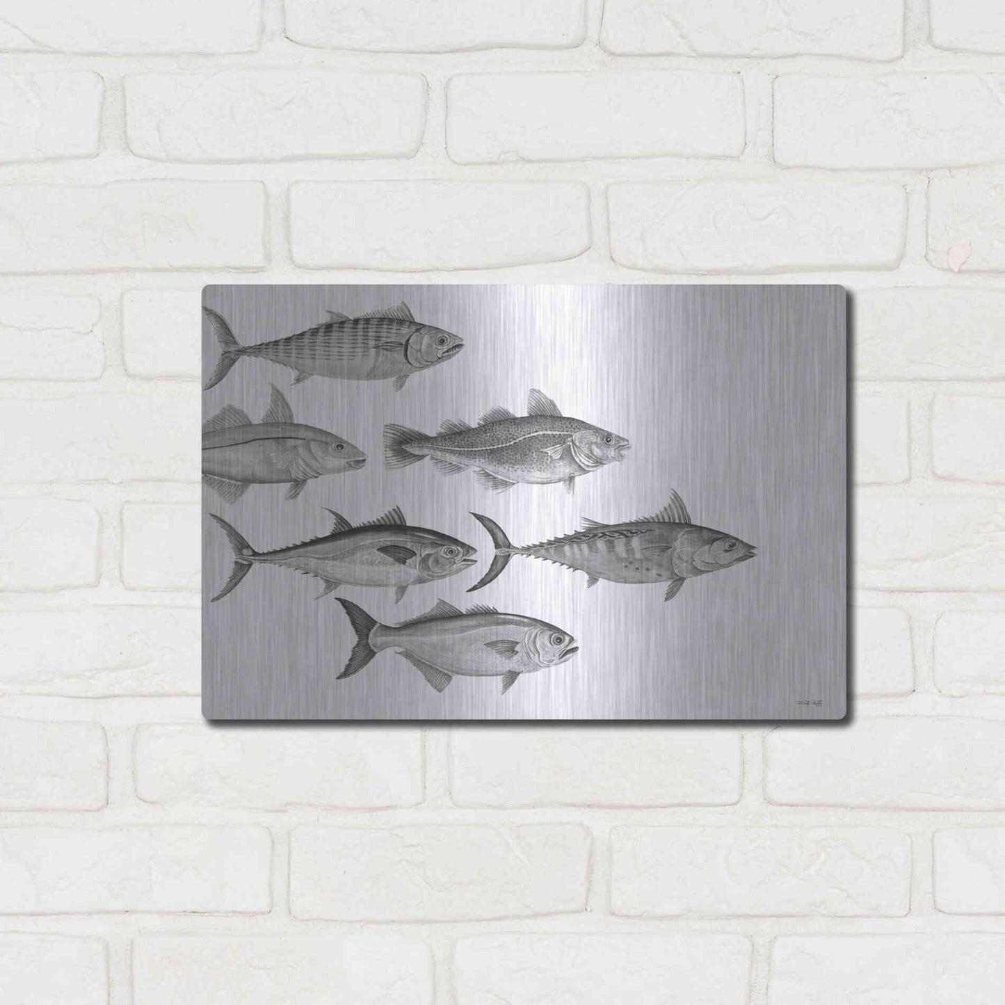 Luxe Metal Art 'Variety of Fish I' by Cindy Jacobs, Metal Wall Art,16x12