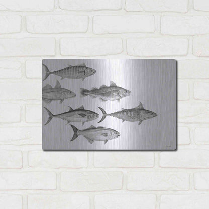 Luxe Metal Art 'Variety of Fish I' by Cindy Jacobs, Metal Wall Art,16x12