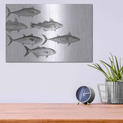 Luxe Metal Art 'Variety of Fish I' by Cindy Jacobs, Metal Wall Art,16x12