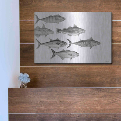 Luxe Metal Art 'Variety of Fish I' by Cindy Jacobs, Metal Wall Art,16x12