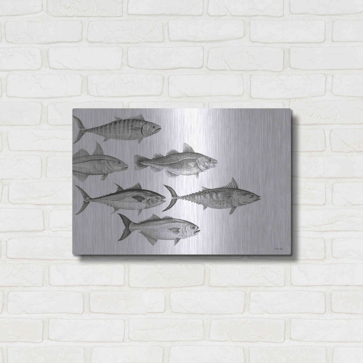 Luxe Metal Art 'Variety of Fish I' by Cindy Jacobs, Metal Wall Art,24x16