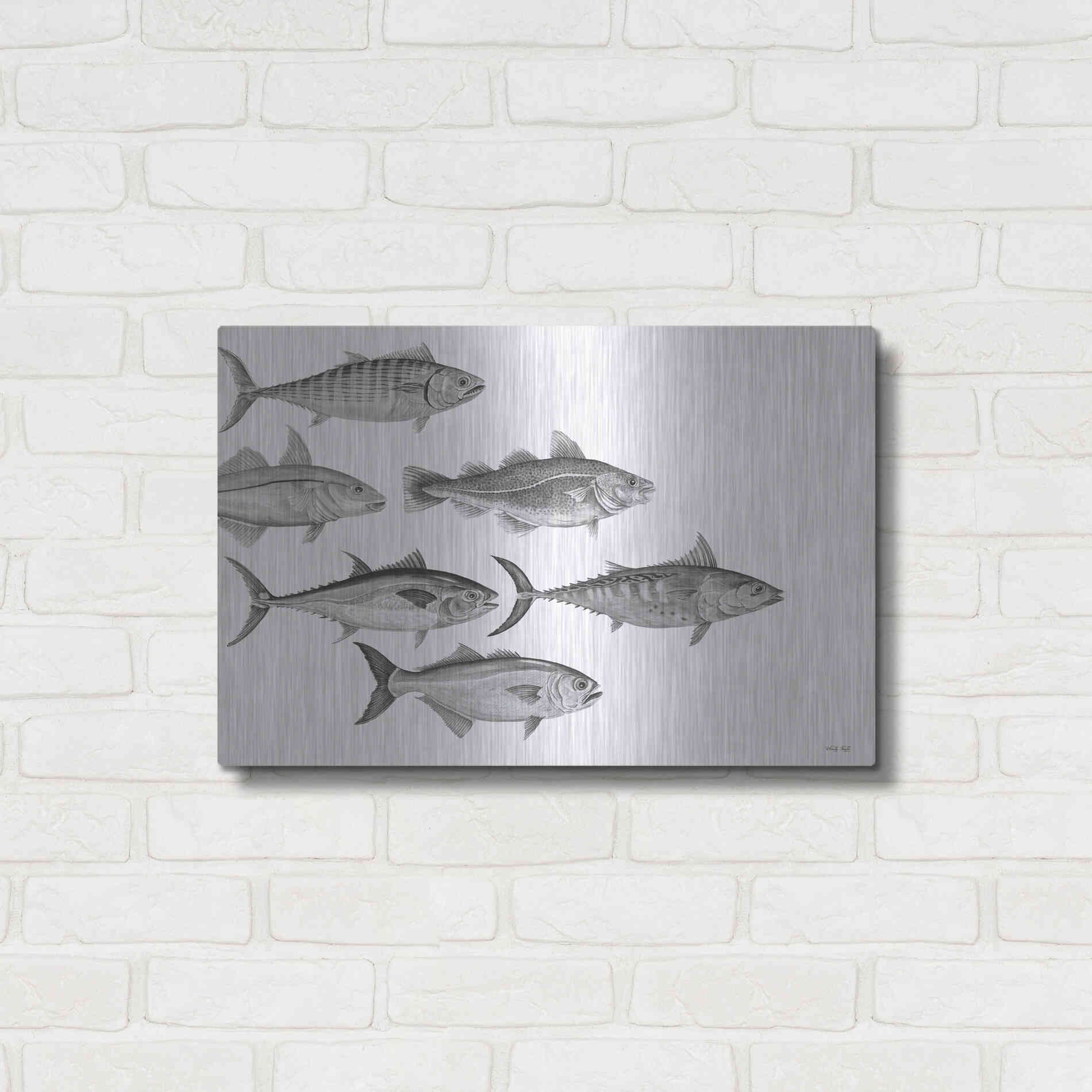 Luxe Metal Art 'Variety of Fish I' by Cindy Jacobs, Metal Wall Art,24x16