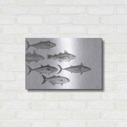 Luxe Metal Art 'Variety of Fish I' by Cindy Jacobs, Metal Wall Art,24x16