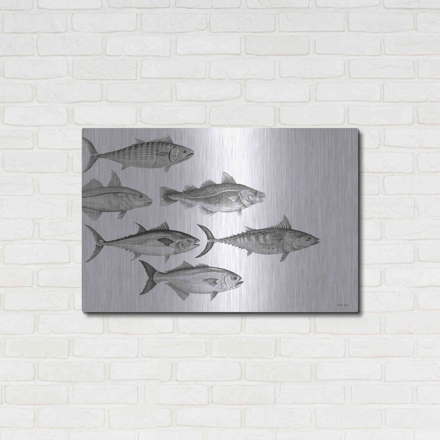 Luxe Metal Art 'Variety of Fish I' by Cindy Jacobs, Metal Wall Art,36x24