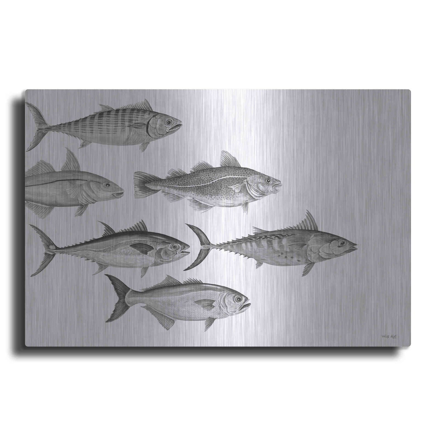 Luxe Metal Art 'Variety of Fish I' by Cindy Jacobs, Metal Wall Art