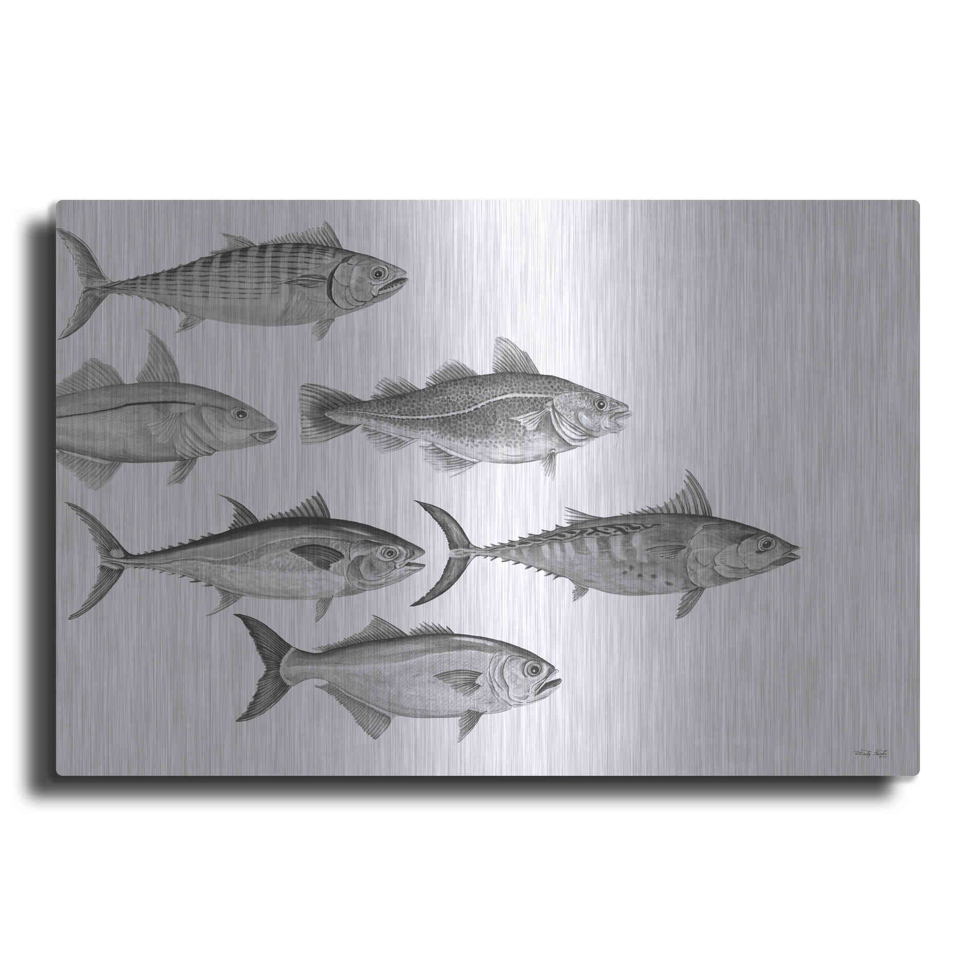 Luxe Metal Art 'Variety of Fish I' by Cindy Jacobs, Metal Wall Art