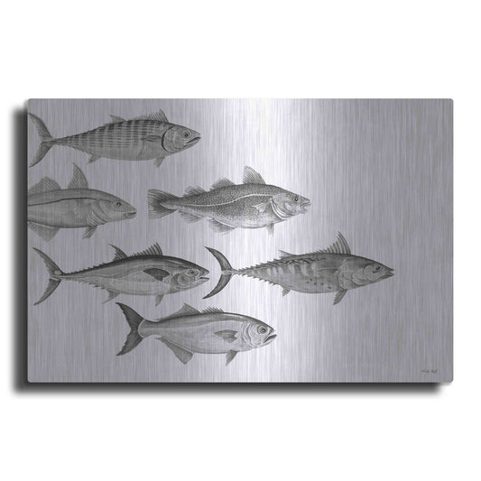 Luxe Metal Art 'Variety of Fish I' by Cindy Jacobs, Metal Wall Art
