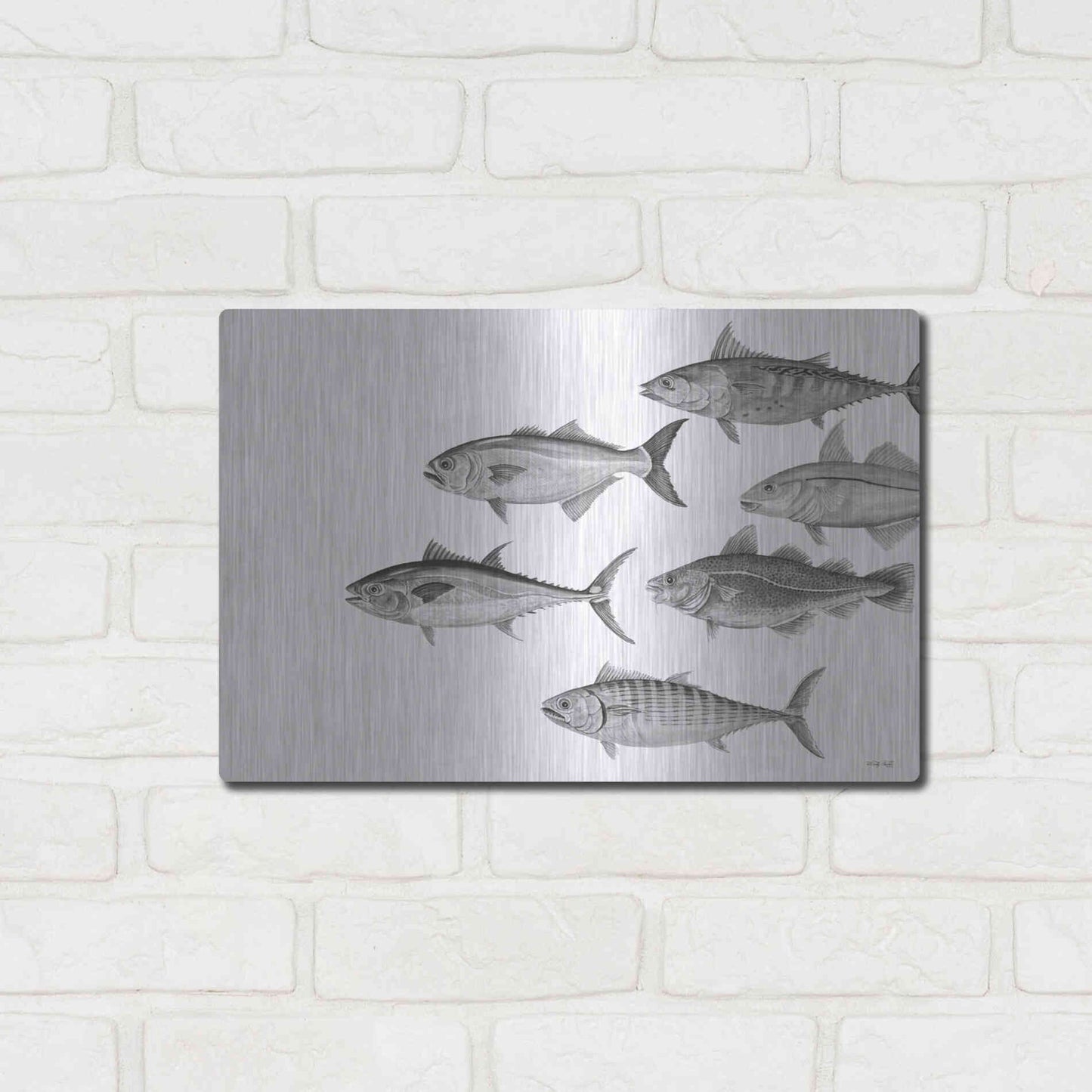 Luxe Metal Art 'Variety of Fish II' by Cindy Jacobs, Metal Wall Art,16x12