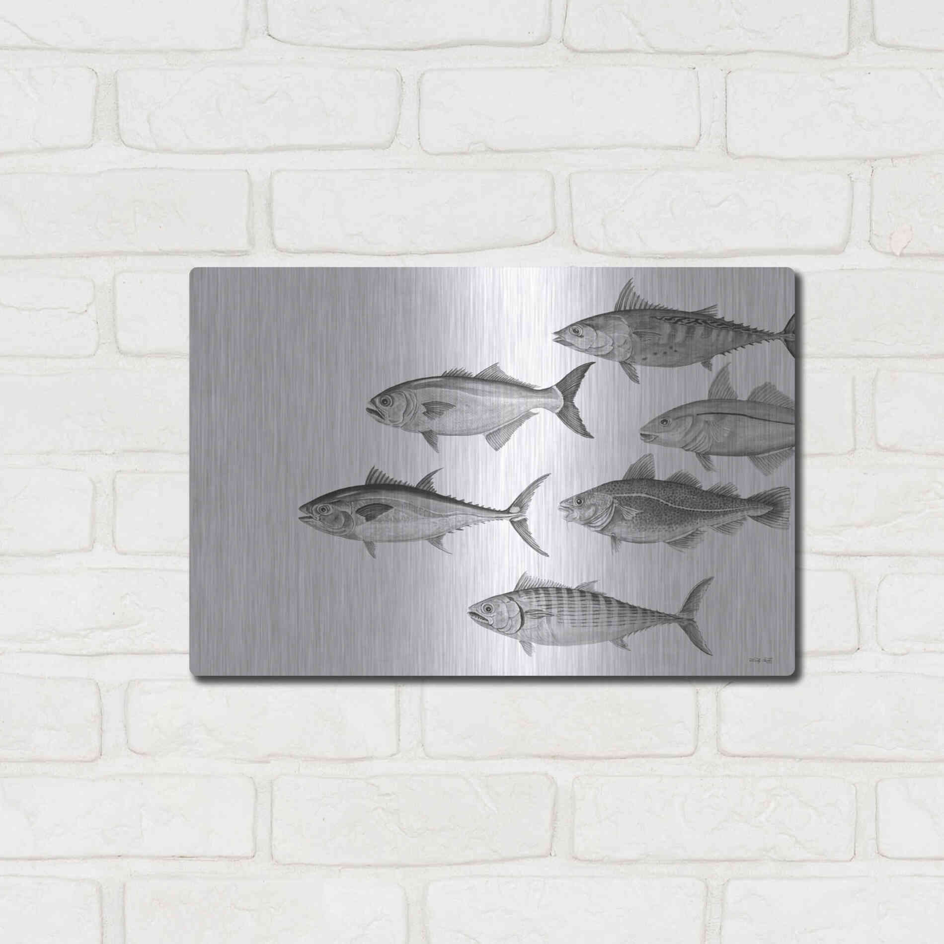 Luxe Metal Art 'Variety of Fish II' by Cindy Jacobs, Metal Wall Art,16x12