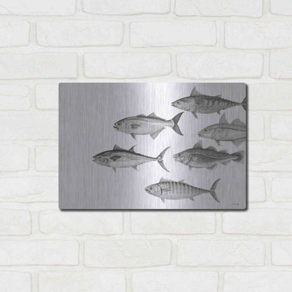 Luxe Metal Art 'Variety of Fish II' by Cindy Jacobs, Metal Wall Art,16x12