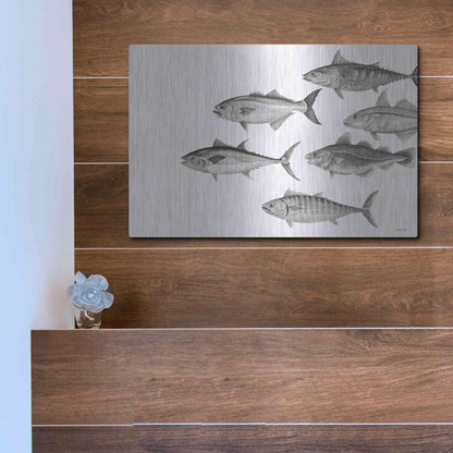 Luxe Metal Art 'Variety of Fish II' by Cindy Jacobs, Metal Wall Art,16x12