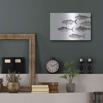 Luxe Metal Art 'Variety of Fish II' by Cindy Jacobs, Metal Wall Art,16x12