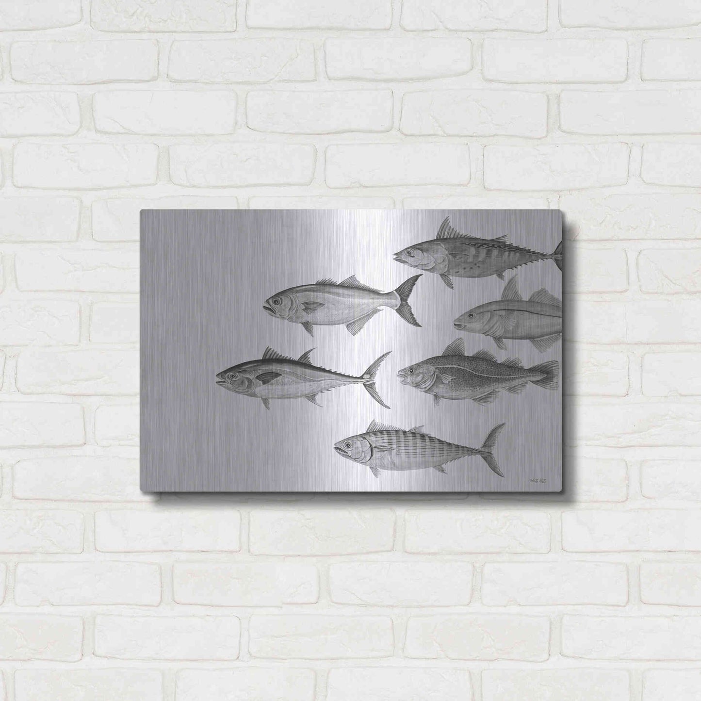 Luxe Metal Art 'Variety of Fish II' by Cindy Jacobs, Metal Wall Art,24x16