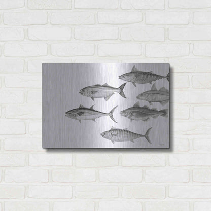 Luxe Metal Art 'Variety of Fish II' by Cindy Jacobs, Metal Wall Art,24x16
