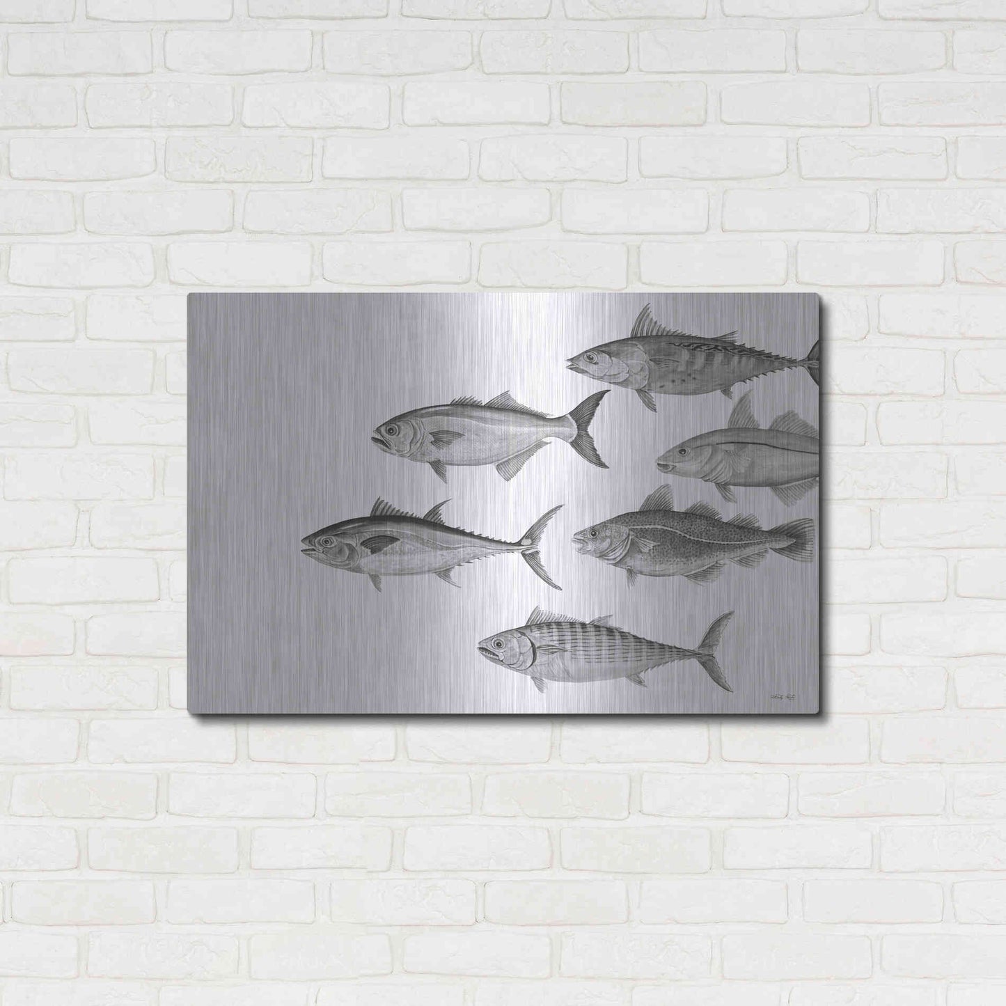 Luxe Metal Art 'Variety of Fish II' by Cindy Jacobs, Metal Wall Art,36x24